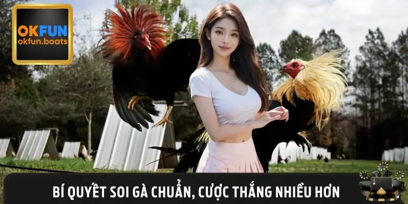 Mẹo nhỏ giúp bạn dễ thắng khi cá cược đá gà