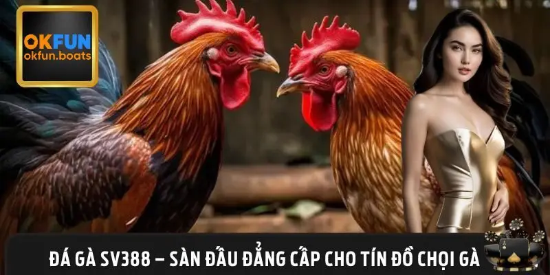Đá gà SV388 - Nơi trải nghiệm cá cược trực tuyến đỉnh cao