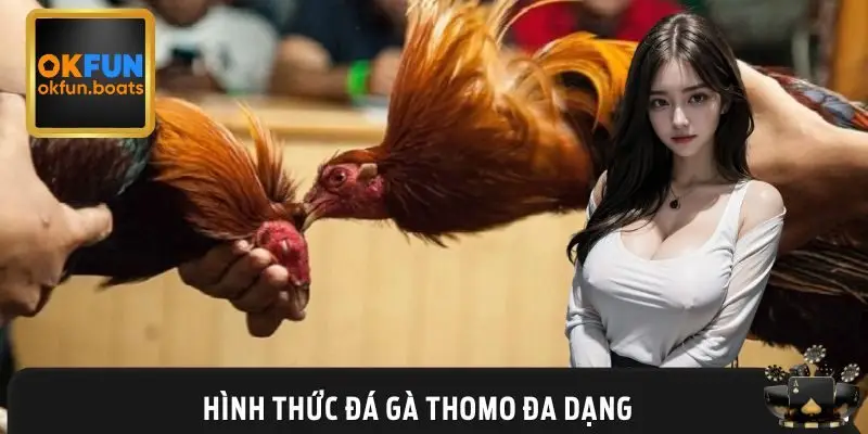 Các loại hình đá gà của Thomo