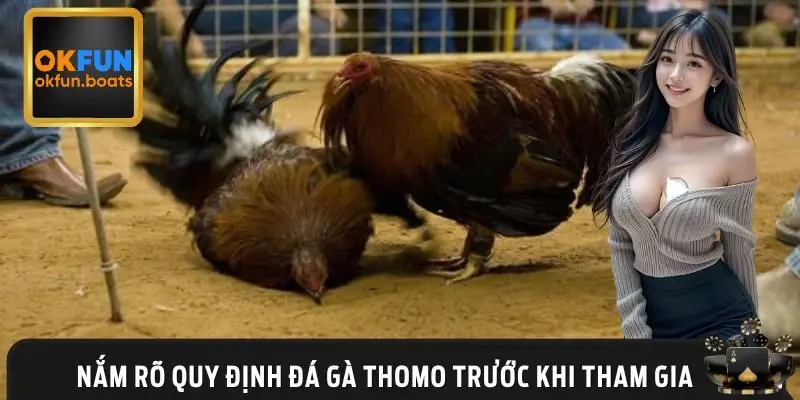 Hướng dẫn chơi đá gà thomo từ a đến z