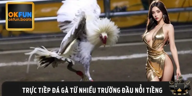 Các trường gà có tại nhà cái