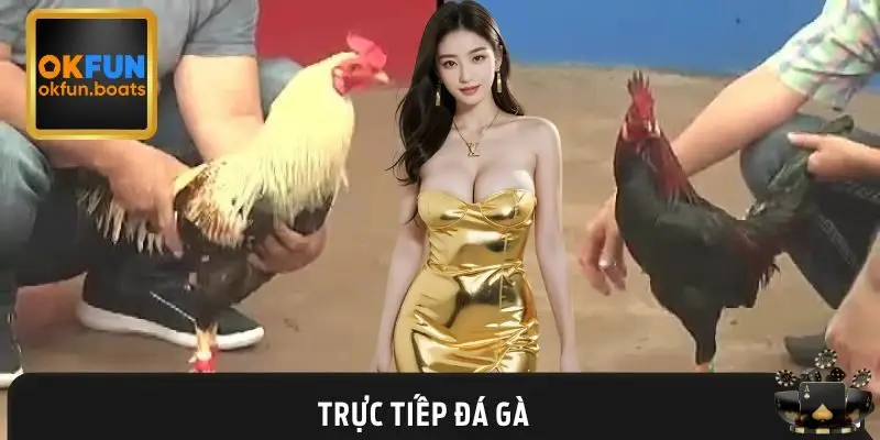Trực Tiếp Đá Gà